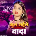 Bhul Gaile Wada