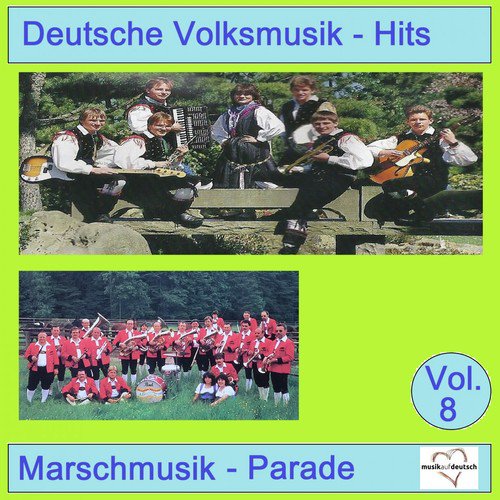 Deutsche Volksmusik-Hits: Marschmusik-Parade, Vol. 8