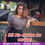 Dil Ko dukha ke wo gai