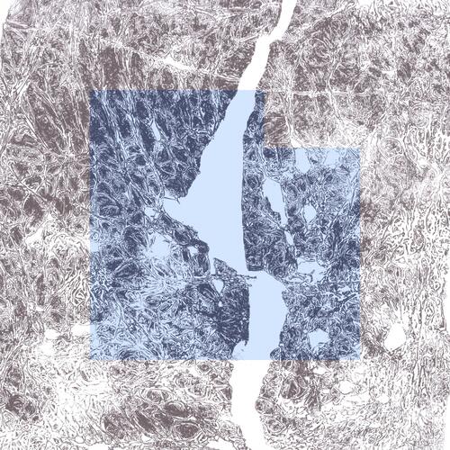 Pales cover art