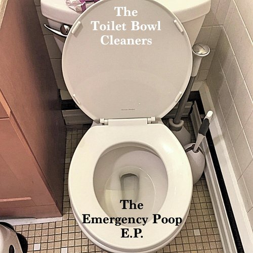 The Toilet Bowl Cleaners