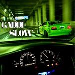 Gaddi Slow