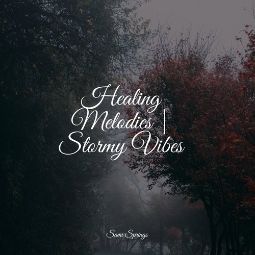 Healing Melodies | Stormy Vibes