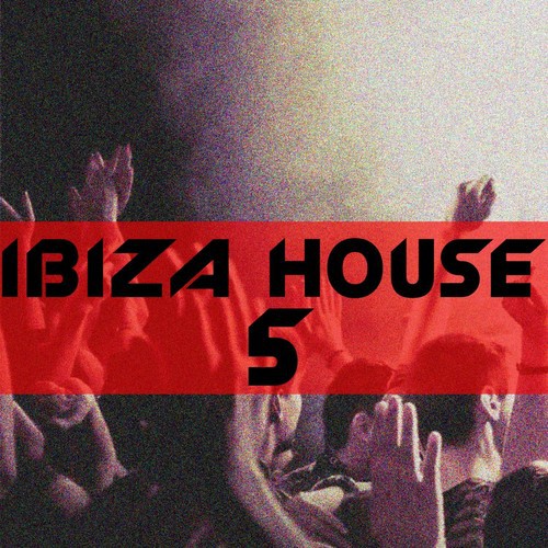 Ibiza House, Vol. 5