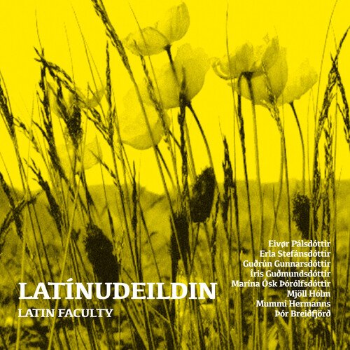 Óskastund cover art