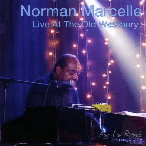 Shades of Blues (Live) [feat. Richard Howes, Dennis Mitchell &  Hugo Peterson] cover art