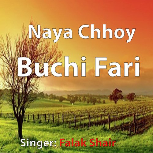 Naya Chhoy Buchi Fari