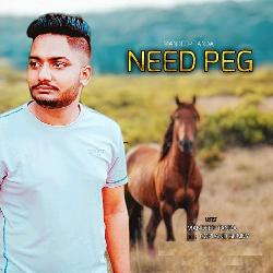 Need Peg-BiY0QzdzA3Y