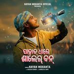 Pahad Dhare Saaler Ban artwork