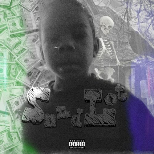 Steve Austin cover art