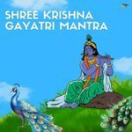 Shree Krishna Gayatri Mantra