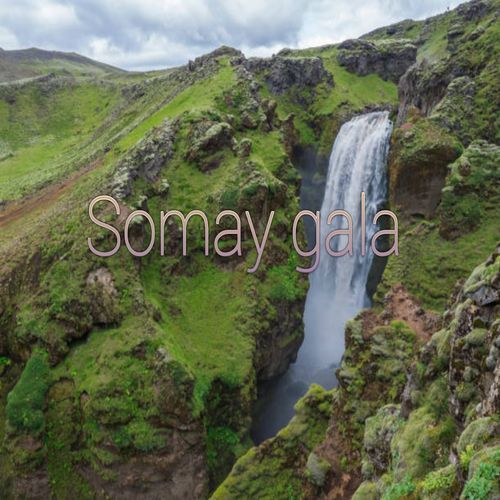 Somay gala