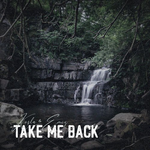 Take Me Back (Remix)_poster_image