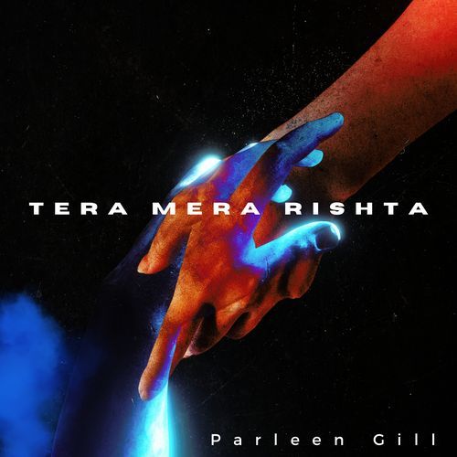 Tera Mera Rishta