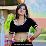 Teri Yad Sata Rhi Re