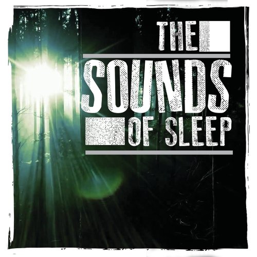 The Sounds of Sleep