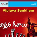 Viplava Sankham