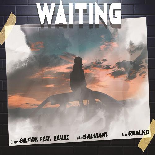 Waiting (feat. Salmani)_poster_image