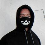 Walkers Join (Alan Walker Fans) artwork