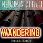 Wandering