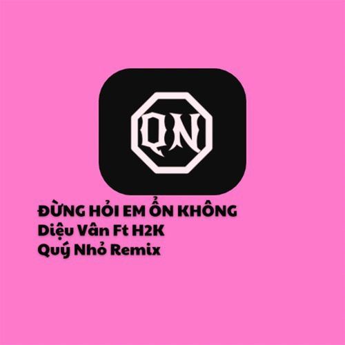 Đừng Hỏi Em Ổn Không (Quý Nhỏ Remix)_poster_image