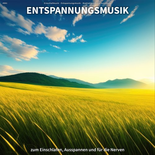 #001 Entspannungsmusik zum Einschlafen, Ausspannen und für die Nerven_poster_image