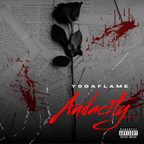Audacity cover art