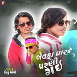 Bewafa Parke Parni Gay