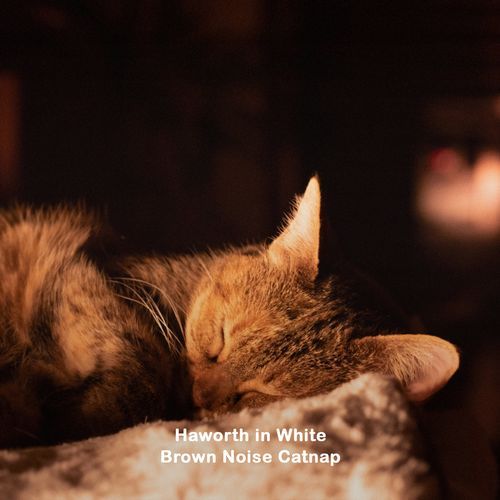 Brown Noise Catnap cover art