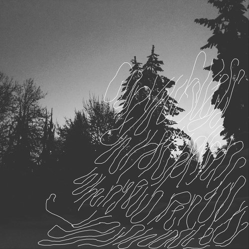 For More Information, Visit ‘ W W W Dot Yourlifeinanutshellalmost_broken Dot Net', Or Call by 1-800-Fuckingpieceofshitforsalenow cover art