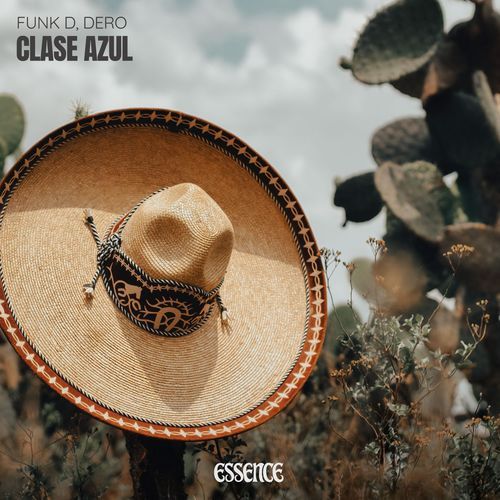 Clase Azul