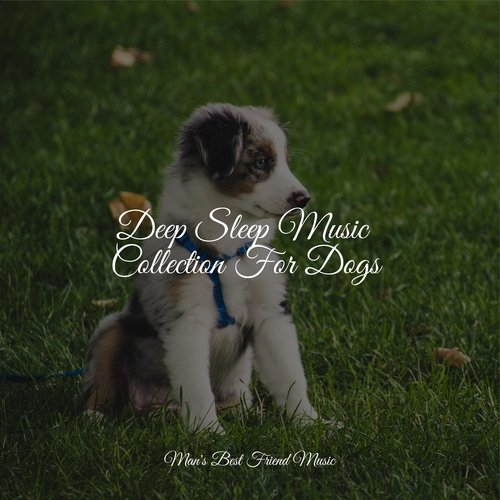 Sleepy Head cover art
