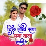Dil Todisan Mana Wala Hasni Ye