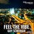 Feel the Vibe (2016 Mix)