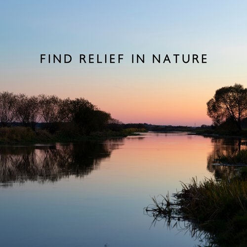 Find Relief in Nature: Calming Nature Music, Free Yourself from Stress_poster_image