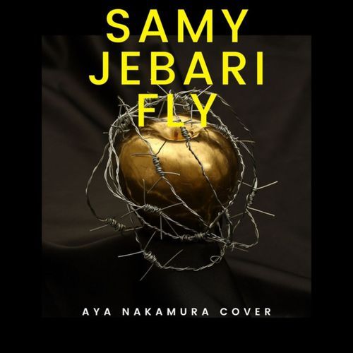 Fly - Aya Nakamura Cover cover art