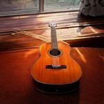 Resonating Guitar Pulse