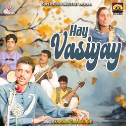 Hay Vasiyay