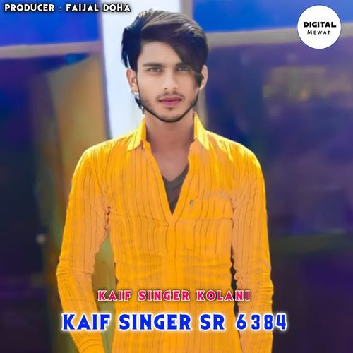 Kaif Singer SR 6384