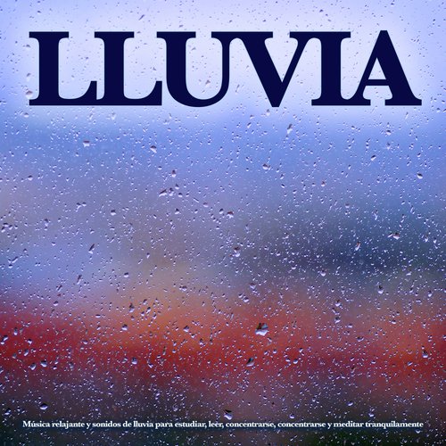Para la concentracion cover art