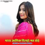 Mhara Aashik Dildo Mat Tode