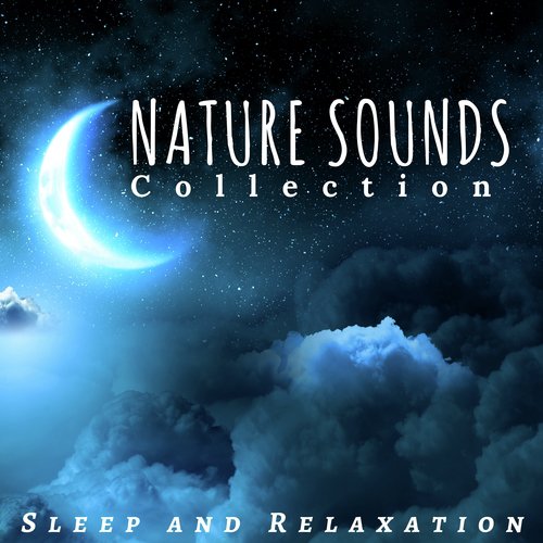 Nature Sounds Collection: Sleep and Relaxation, Nature Sounds, Water Sounds, Guitar & Piano Music, New Age Meditation Music