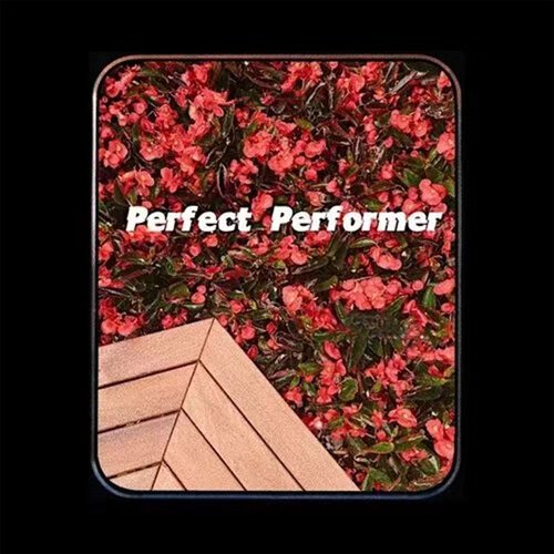 Perfect Performer cover art
