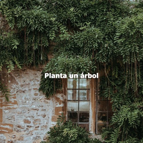Relaxed Chill Out Saturday cover art