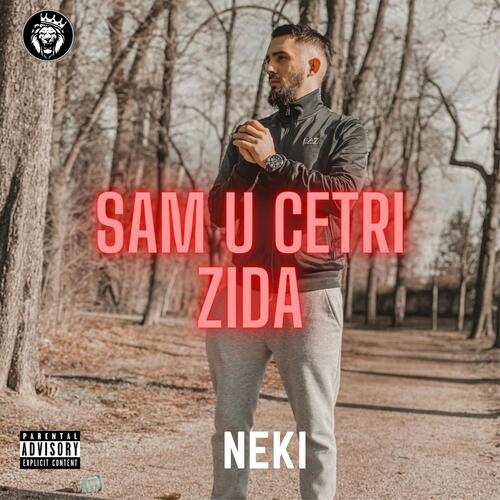 SAM U CETRI ZIDA_poster_image