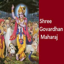 Shree Govardhan Maharaj-A1AFYCtYAB4