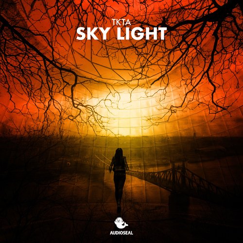 Sky Light cover art