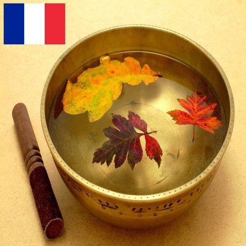 Son d'un Bol Chantant Tibétain sous la Pluie