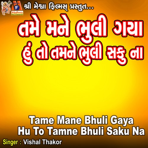 Tame Mane Bhuli Gaya Hu To Tamne Bhuli Saku Na