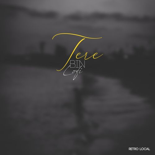 Tere Bin (Lofi)